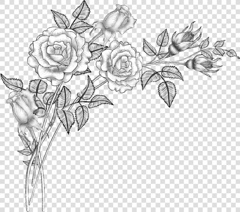 Clip Art Collection Of Free Drawing   Flowers Drawing Png  Transparent PngTransparent PNG