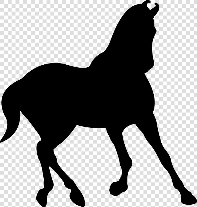 Silhouette  Saddle Horse  Black  Trot   Stallion  HD Png DownloadTransparent PNG