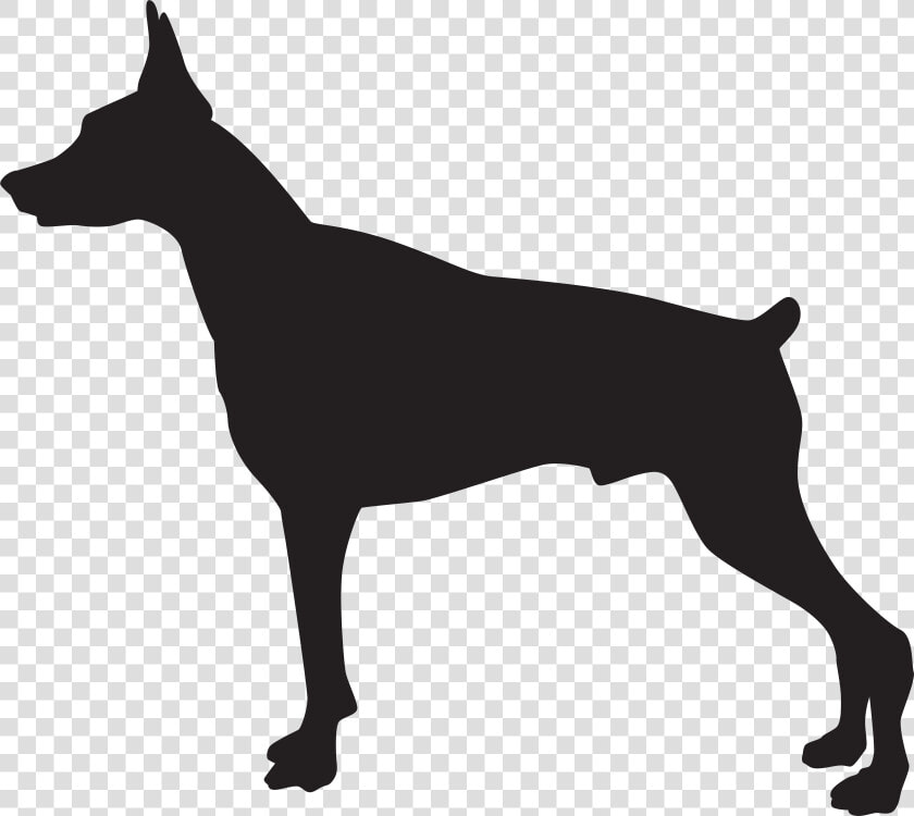 Doberman Dog Silhouette Png Transparent Clip Art Image  Png DownloadTransparent PNG