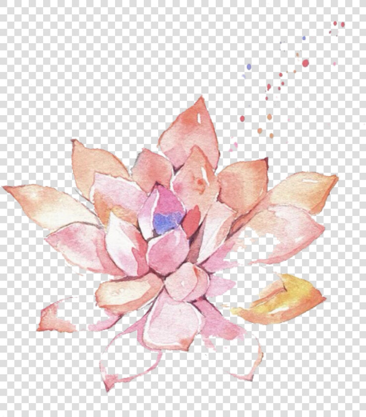 Ftestickers Watercolor Painting Flower Succulent Pink   Succulent Flower Transparent Watercolor  HD Png DownloadTransparent PNG