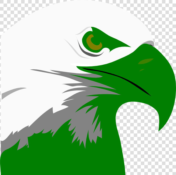 Bald Eagle Head Png   Bald Eagle Clipart  Transparent PngTransparent PNG
