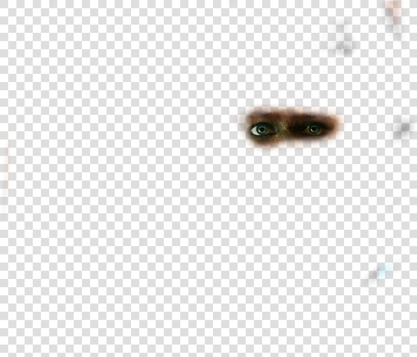 All Png And Background   Macro Photography  Transparent PngTransparent PNG