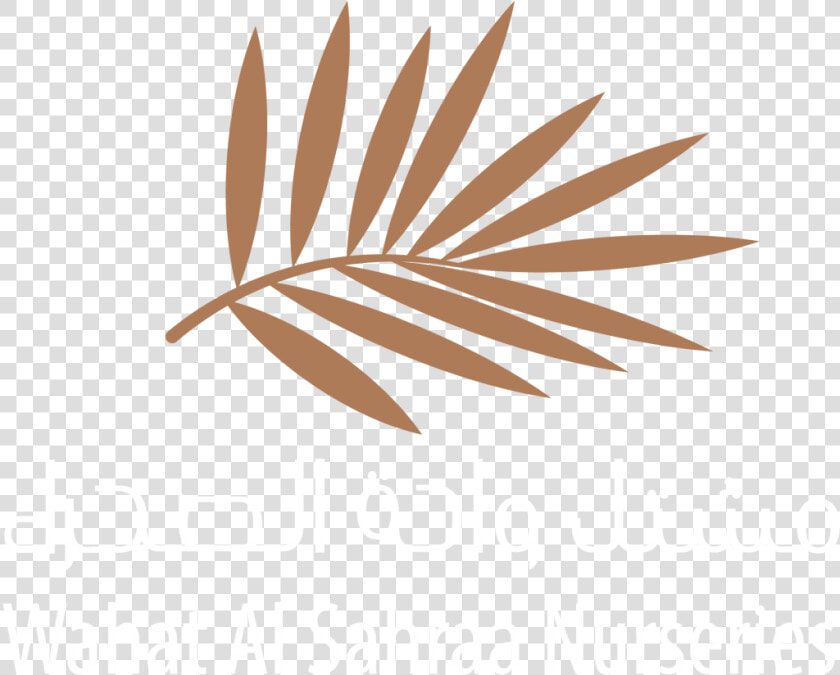 Wahat Al Sahraa Official Logo   Desert Group Qatar  HD Png DownloadTransparent PNG