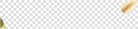 Budgie  HD Png DownloadTransparent PNG