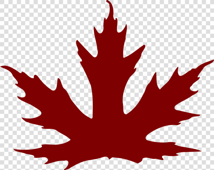 Maple Leaf Clipart Brown   Purple Maple Leaf Clipart  HD Png DownloadTransparent PNG