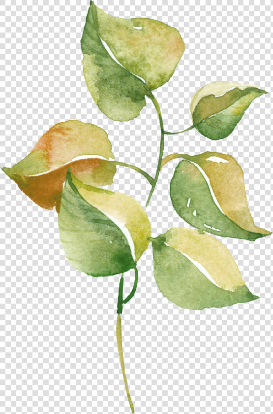 Watercolour Watercolor Pinterest   Watercolor  HD Png DownloadTransparent PNG