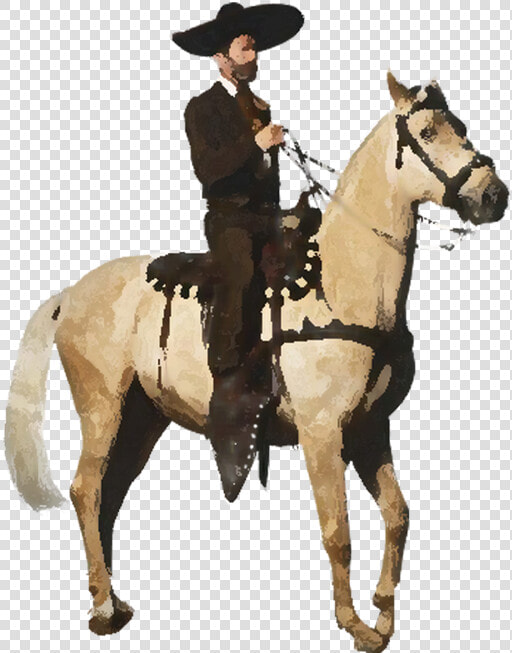 Mare  HD Png DownloadTransparent PNG
