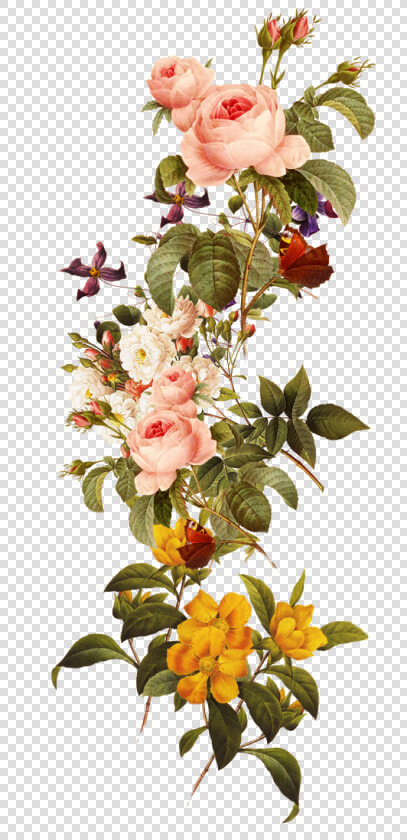 Free Download Flowers Images Clipart Royalty Free Library   Beautiful Flowers Png  Transparent PngTransparent PNG