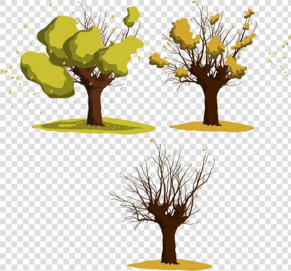 Wattles Tree Euclidean Vector   Euclidean Vector  HD Png DownloadTransparent PNG