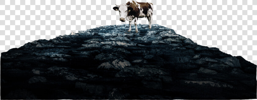 Heavens Cow Rocks Only   Dairy Cow  HD Png DownloadTransparent PNG