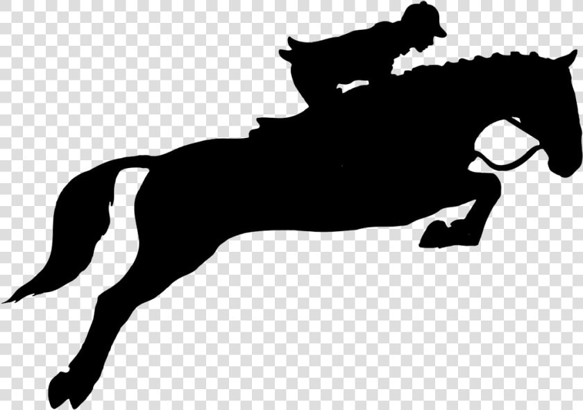 Horse Jumping Hurdle Png   Horse And Rider Silhouette Jumping  Transparent PngTransparent PNG