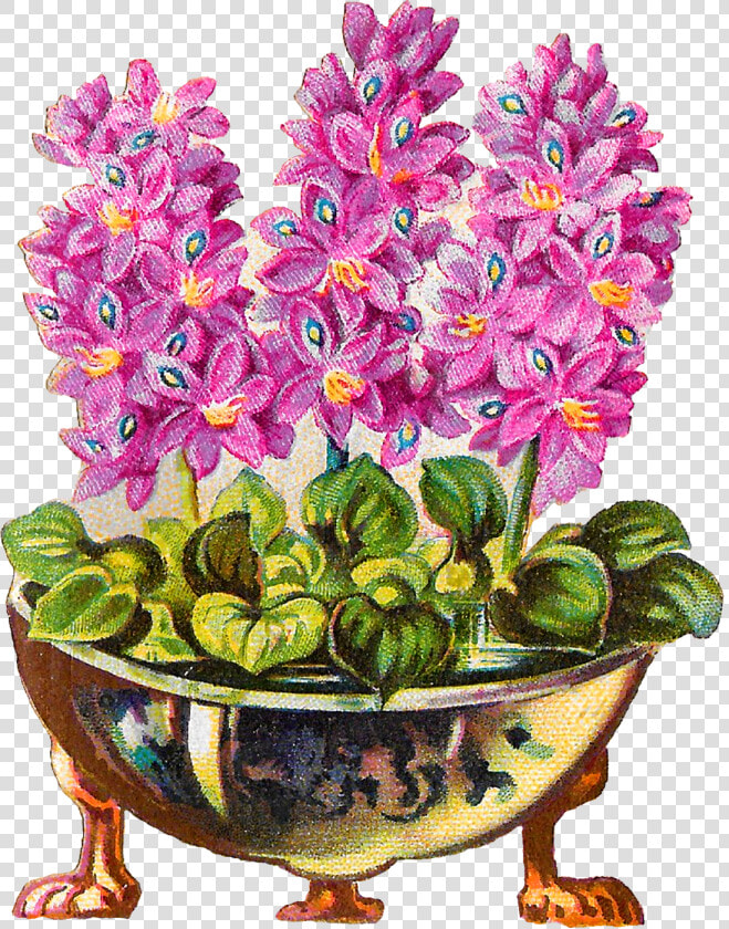 Flower Pot Plant Vintage Clipart Illustration Botanical   Flower Pot Png Vintage  Transparent PngTransparent PNG
