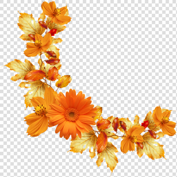 Orange Floral Border Png Image Background   Transparent Background Orange Flowers Png  Png DownloadTransparent PNG
