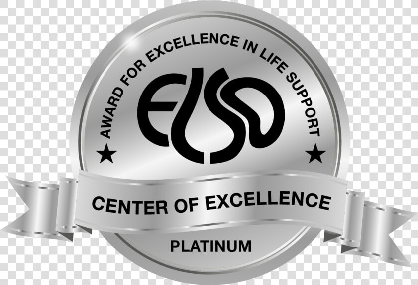 Elso Platinum Center Of Excellence  HD Png DownloadTransparent PNG