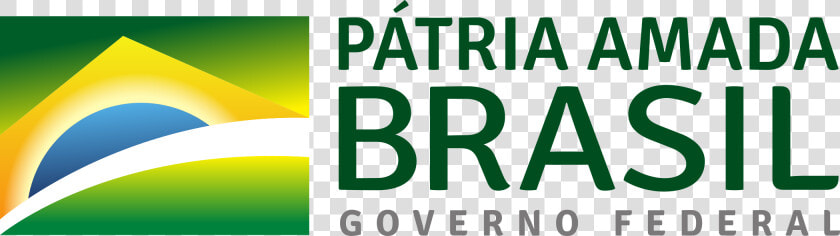 Logo Governo Federal 2019 Vetor  HD Png DownloadTransparent PNG