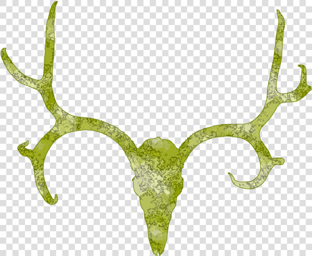 Deer Skull Antler Clipart Free Clip Art Images   Antler  HD Png DownloadTransparent PNG