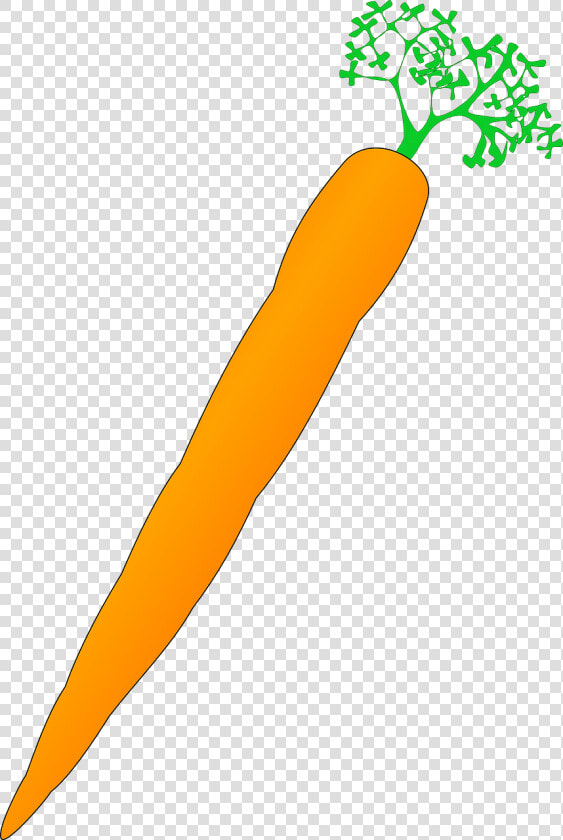Food orange carrot   Carrot Clip Art  HD Png DownloadTransparent PNG