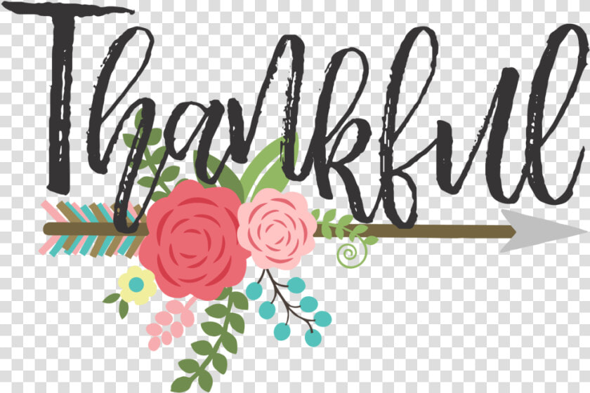 Thankful Distressed   Png Download   Garden Roses  Transparent PngTransparent PNG