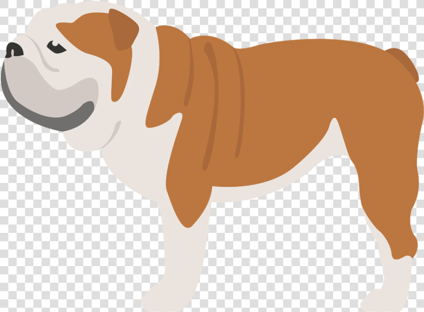 Old English Bulldog Dog Breed Bullmastiff Caucasian   Iconos De Bulldog Ingles  HD Png DownloadTransparent PNG