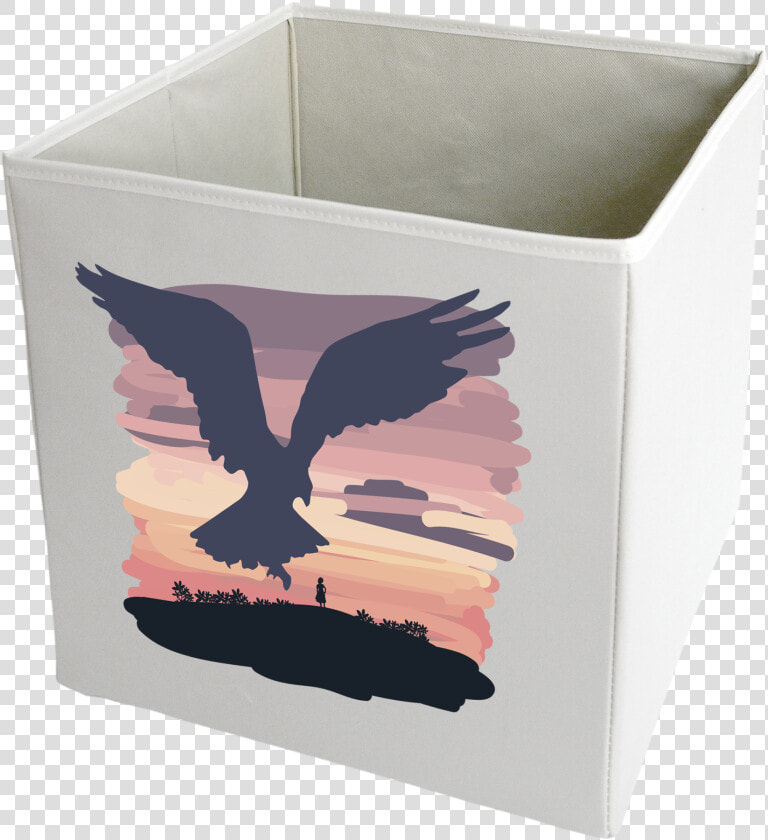 Seabird  HD Png DownloadTransparent PNG