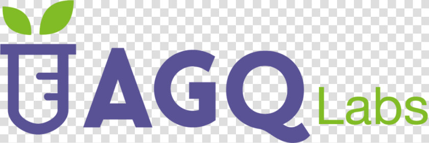 Logo 1 01 Sr   Agq Labs  HD Png DownloadTransparent PNG