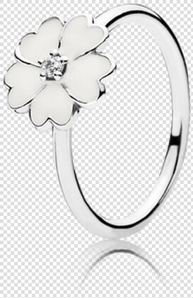 Pandora Anello Primula Bianca  HD Png DownloadTransparent PNG