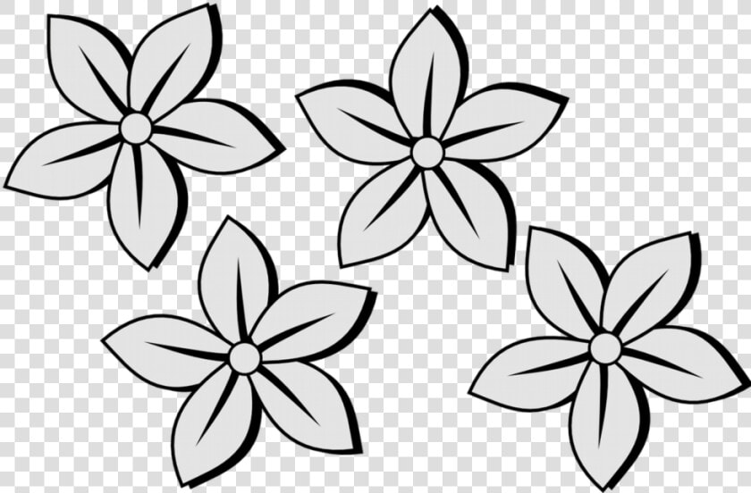 Drawing Photos Flower   Jasmine Flower Black And White  HD Png DownloadTransparent PNG