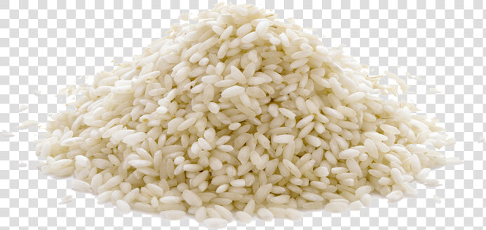 Rice Png Photo   Transparent Rice Clip Art  Png DownloadTransparent PNG