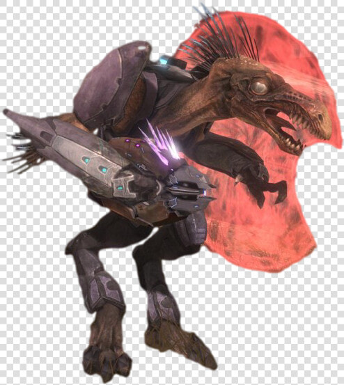 Jackal Png  Transparent PngTransparent PNG