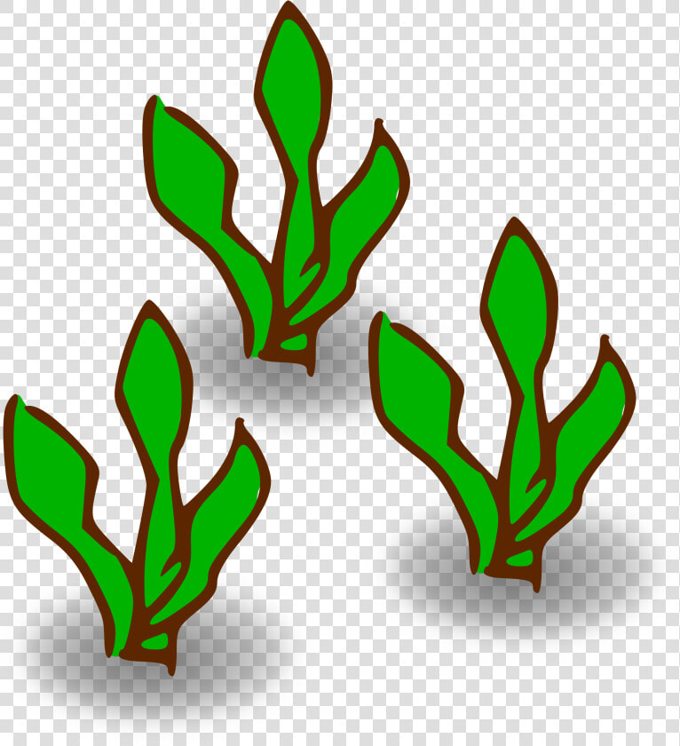 Kelp Forest Heavy   Kelp Clipart  HD Png DownloadTransparent PNG