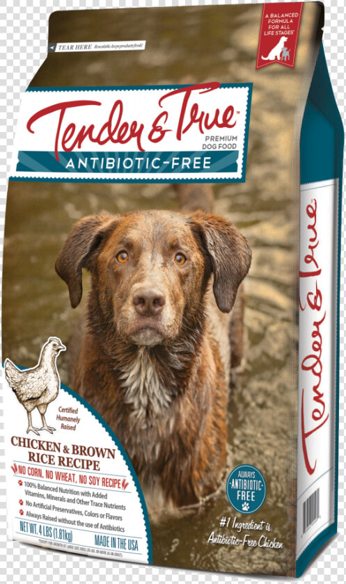 Chicken Tender Png  Transparent PngTransparent PNG