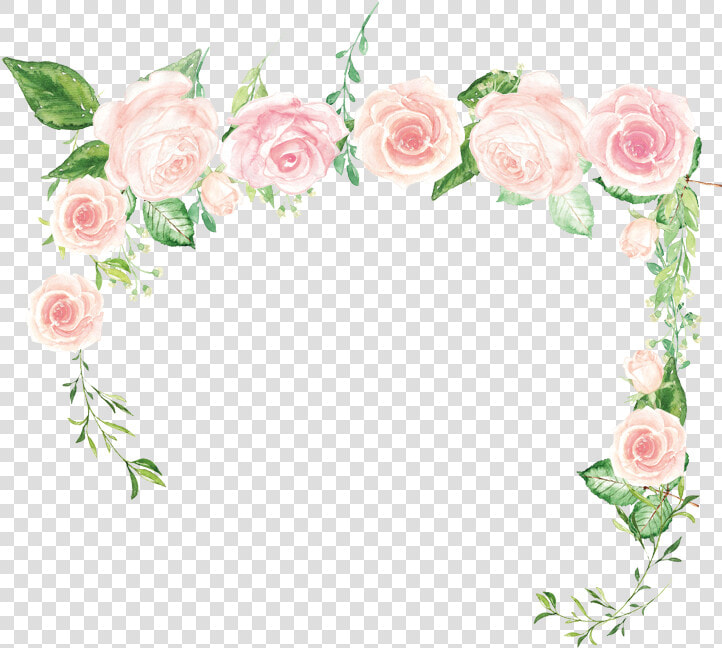 Pink Flower Rose Green   Hybrid Tea Rose  HD Png DownloadTransparent PNG