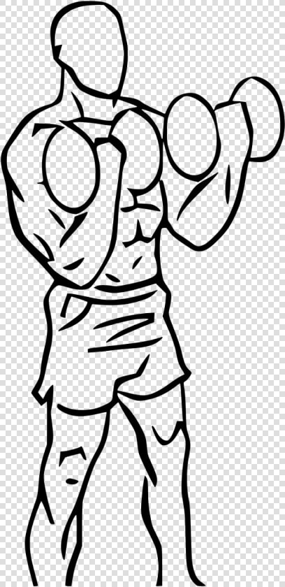 Dumbbell Curl Clip Art  HD Png DownloadTransparent PNG