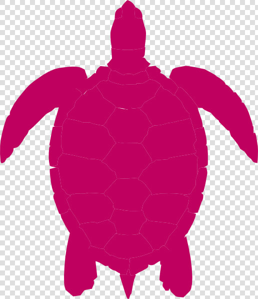 Transparent Turtle   Silhouette Turtle Vector Png  Png DownloadTransparent PNG