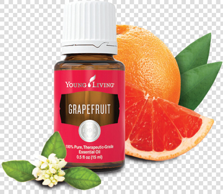 Young Living Grapefruit Essential Oil 15 Ml   Png Download   Young Living Grapefruit Essential Oil  Transparent PngTransparent PNG