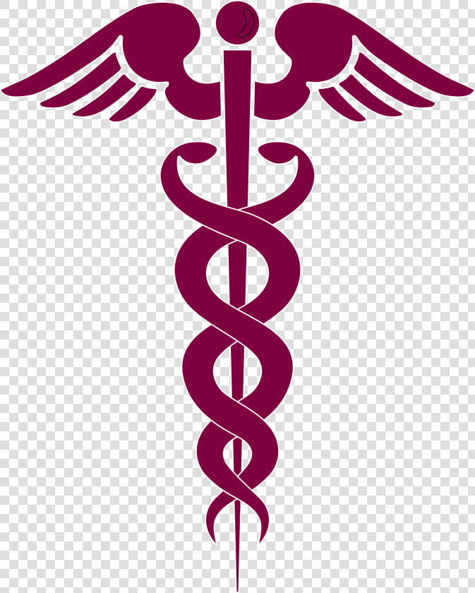 Medicine Caduceus Medical Snake   Caduceus Vector  HD Png DownloadTransparent PNG