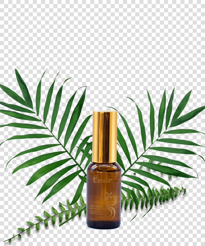 Loss png  Transparent PngTransparent PNG