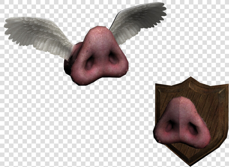 Alice Madness Pig Snouts  HD Png DownloadTransparent PNG