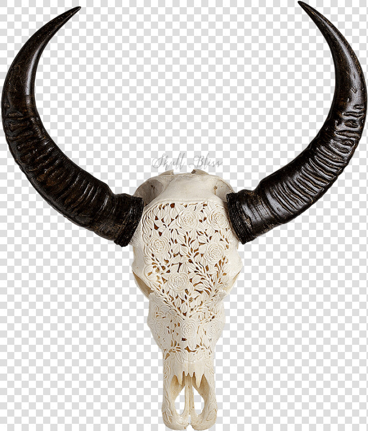 Decorative Skull Head Cow   Png Download   Transparent Buffalo Skull Png  Png DownloadTransparent PNG