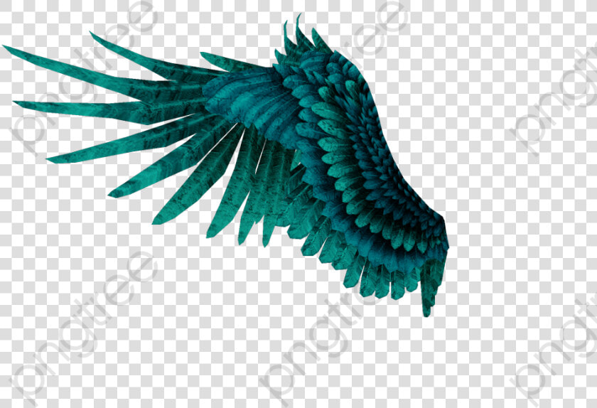 Wings Png Blue Green Elf Angel Clipart   Angel Wings Png  Transparent PngTransparent PNG