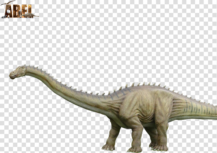 Esculpido Al Aire Libre Patio De Diplodocus  Dinosaurio   Ankylosaurus  HD Png DownloadTransparent PNG