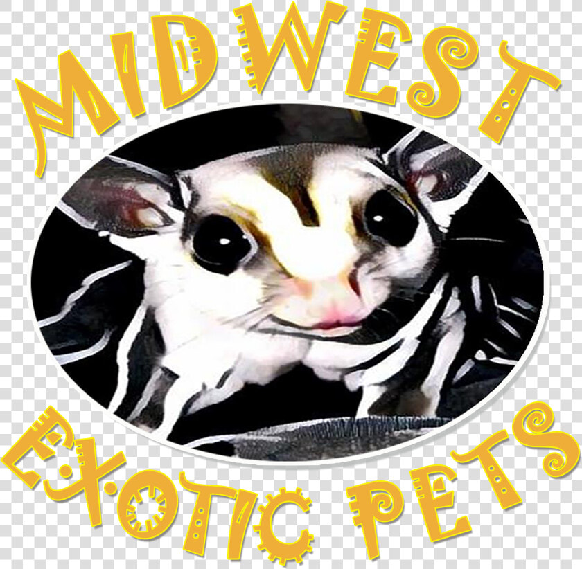 Clip Art Royalty Free Welcome To Midwest Pets   Poster  HD Png DownloadTransparent PNG