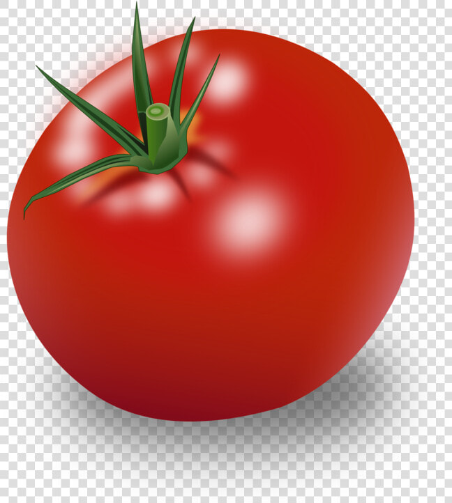 Transparent Tomatoe Png   Tomato Clipart  Png DownloadTransparent PNG