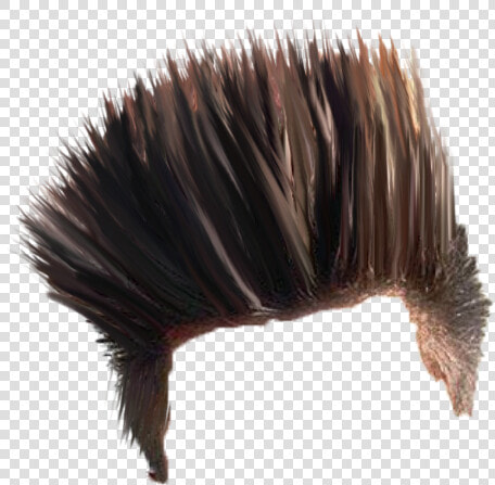 Punxsutawney Phil  HD Png DownloadTransparent PNG
