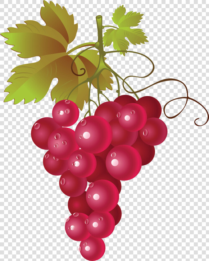 Pictures Of Red Grapes   Red Grapes Png Clipart  Transparent PngTransparent PNG