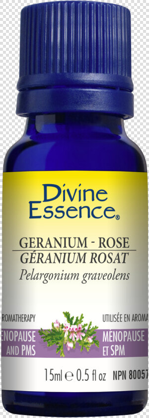 Rose Essential Oil   Divine Essence Eucalyptus Radiata  HD Png DownloadTransparent PNG