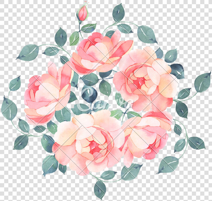 Romantic Roses Watercolour B  HD Png DownloadTransparent PNG