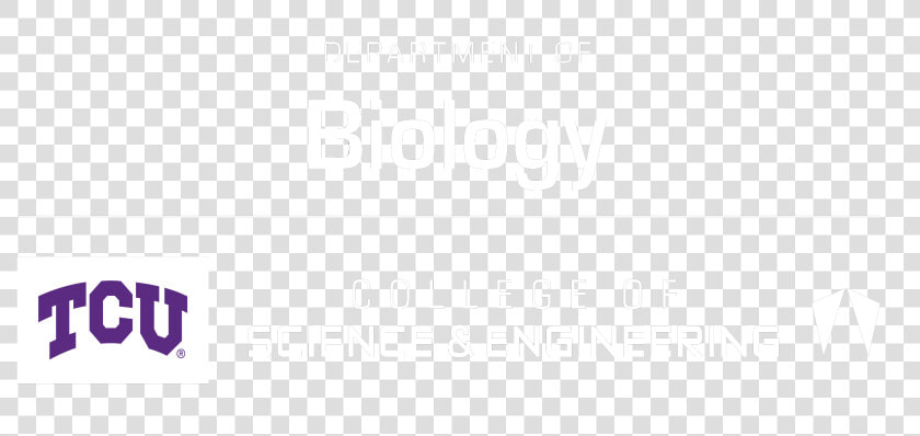Tcu Department Of Science  amp  Engineering   Tcu Biology Department  HD Png DownloadTransparent PNG