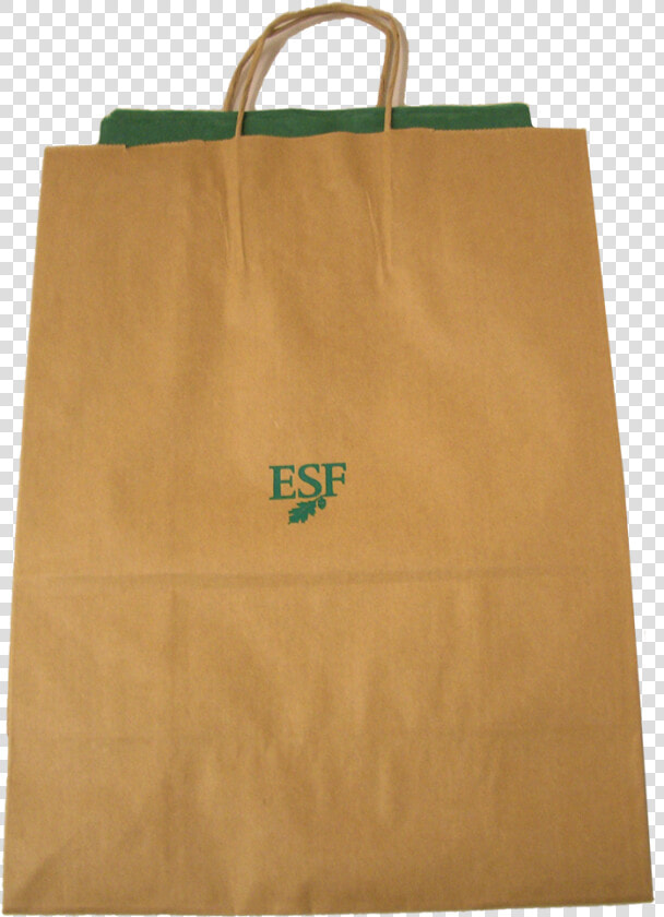 Gift Bag With Tissue   State University Of New York College Of Environmental  HD Png DownloadTransparent PNG