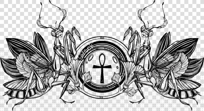 Vintage Style Png Download   Mantis  Transparent PngTransparent PNG
